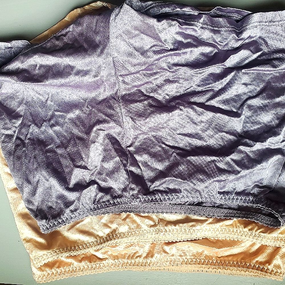 Purple/Peach Vassarette Smoothing Shaping Panties Set of 2 XL
